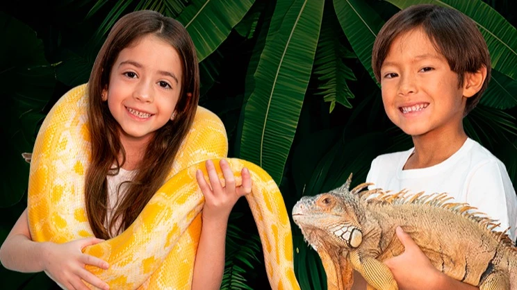 Animais Incríveis  | Combo