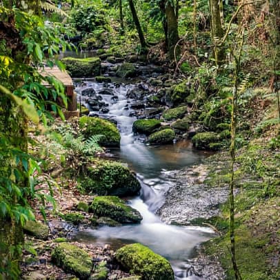 Garden Park Gramado