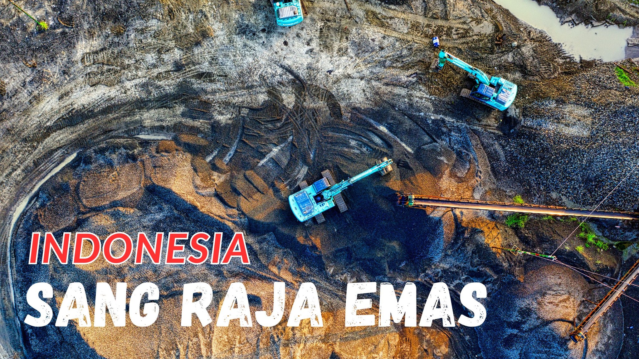 Emas Nusantara di Bumi Papua yang Mengukir Prestise Bangsa