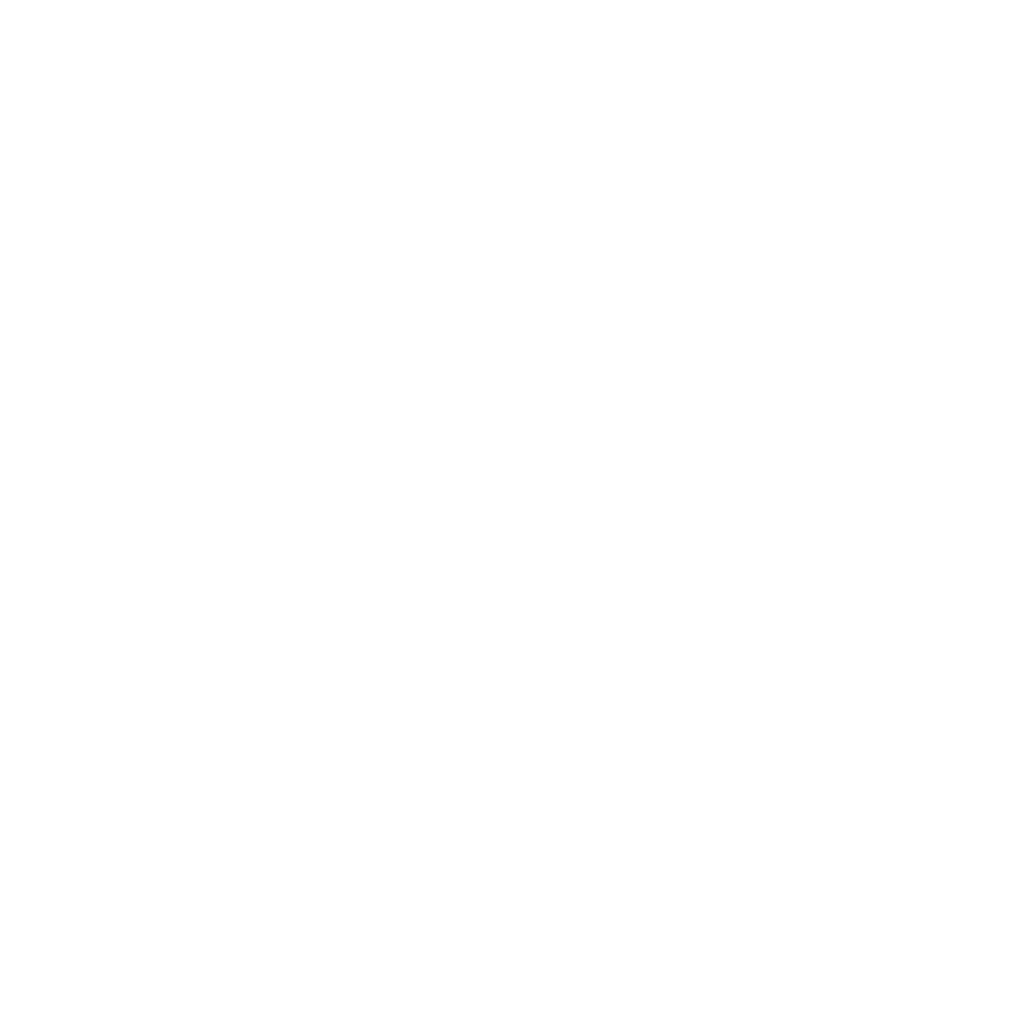 Prince Marriage Palace Logo