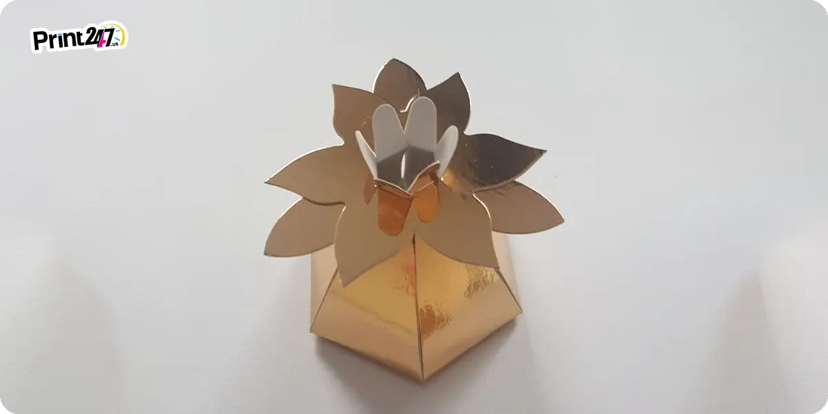 Cosmetics-Beauty-Packaging