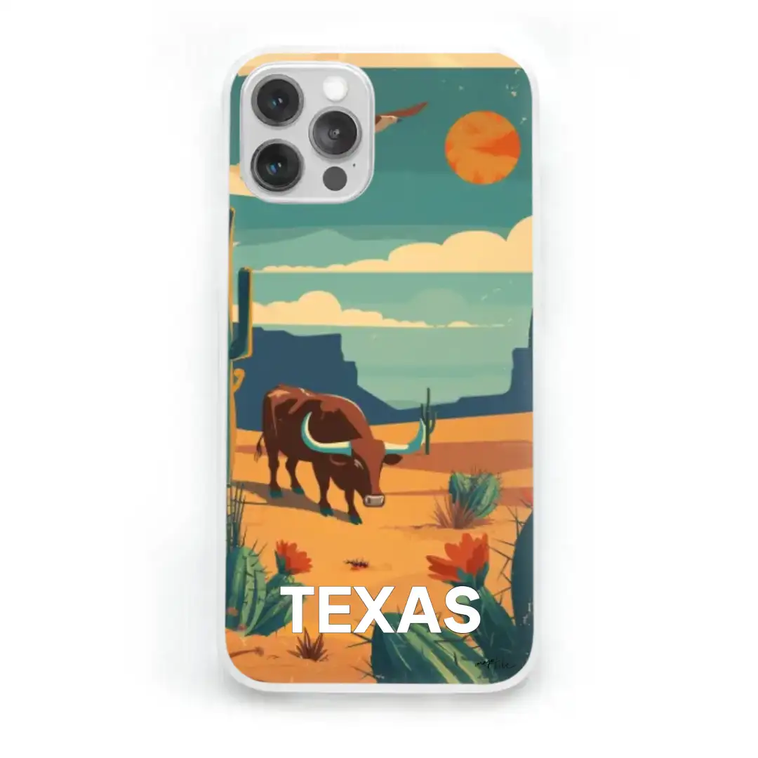 iPhone case texas