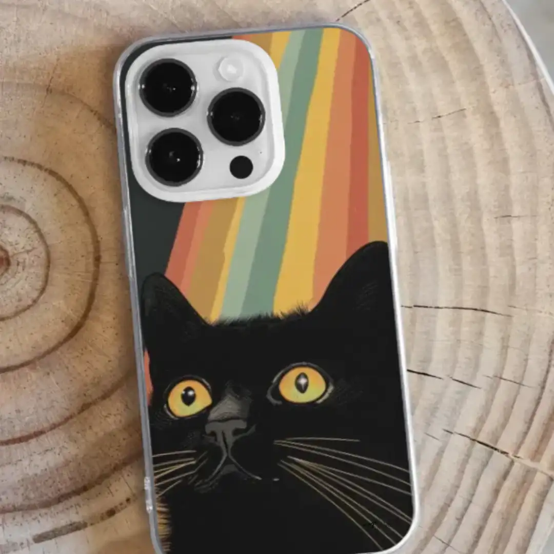 iPhone case rainbow cat