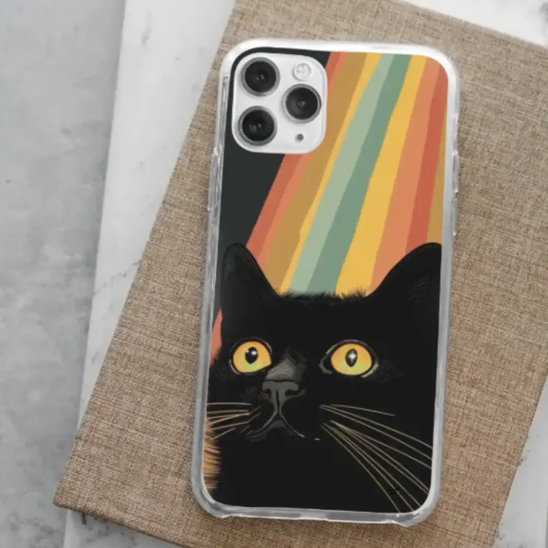 iPhone case rainbow cat