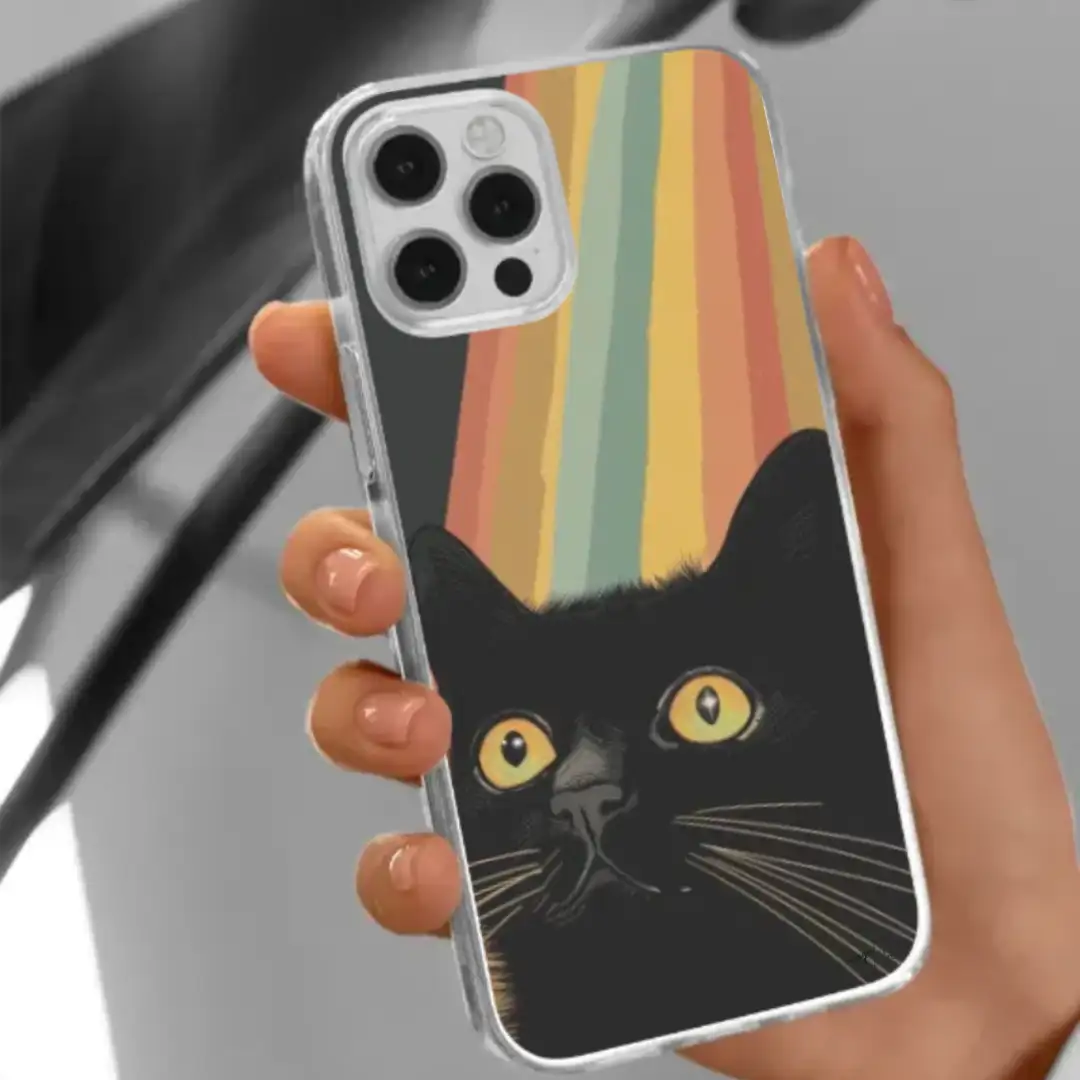 iPhone case rainbow cat