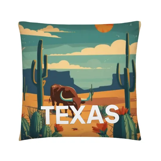 Pillow texas