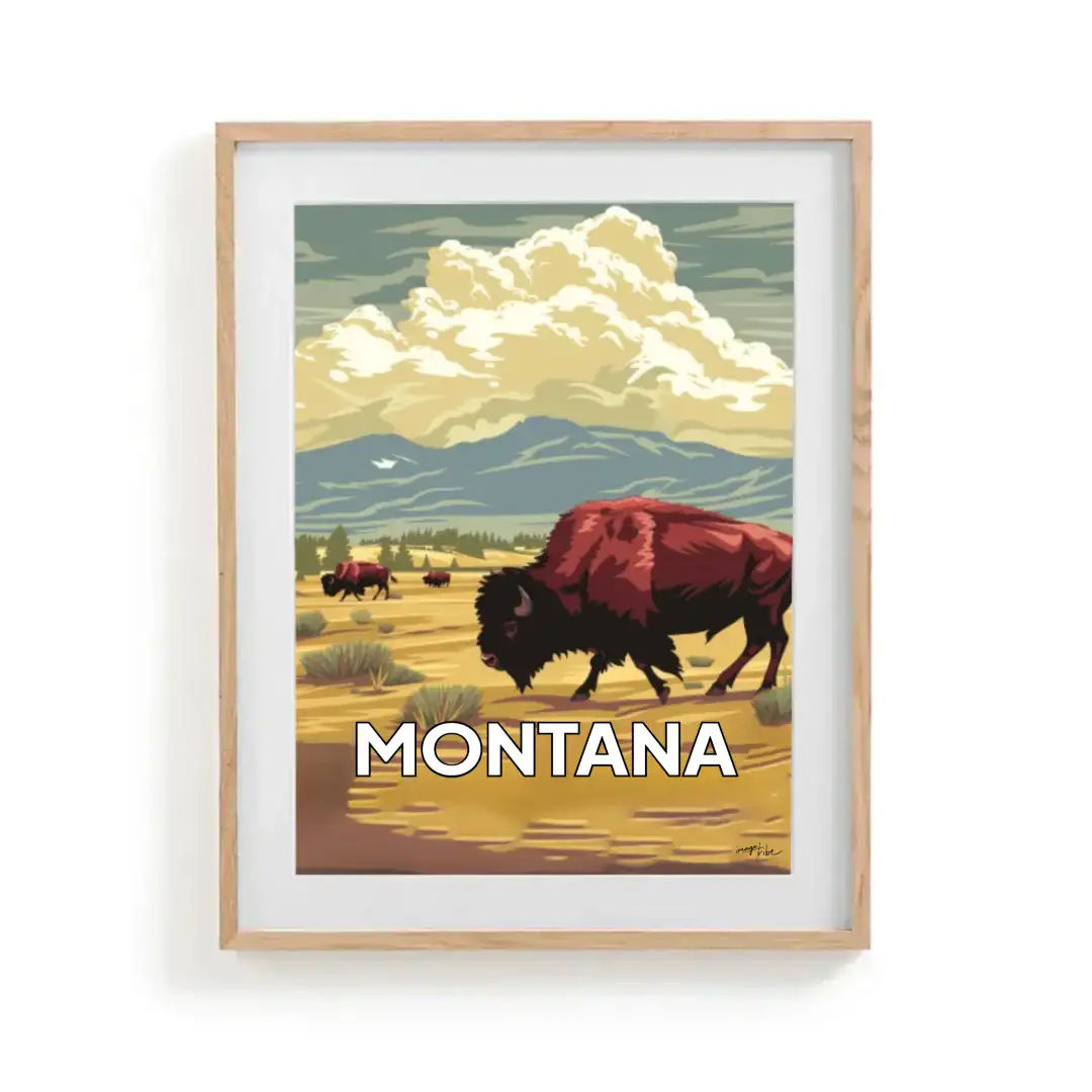 Poster MONTANA