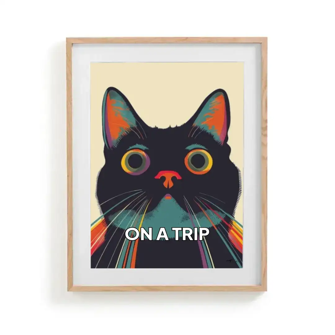 Poster cat looking high