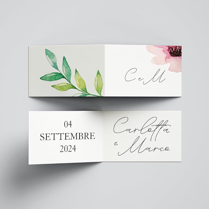 Modello 6