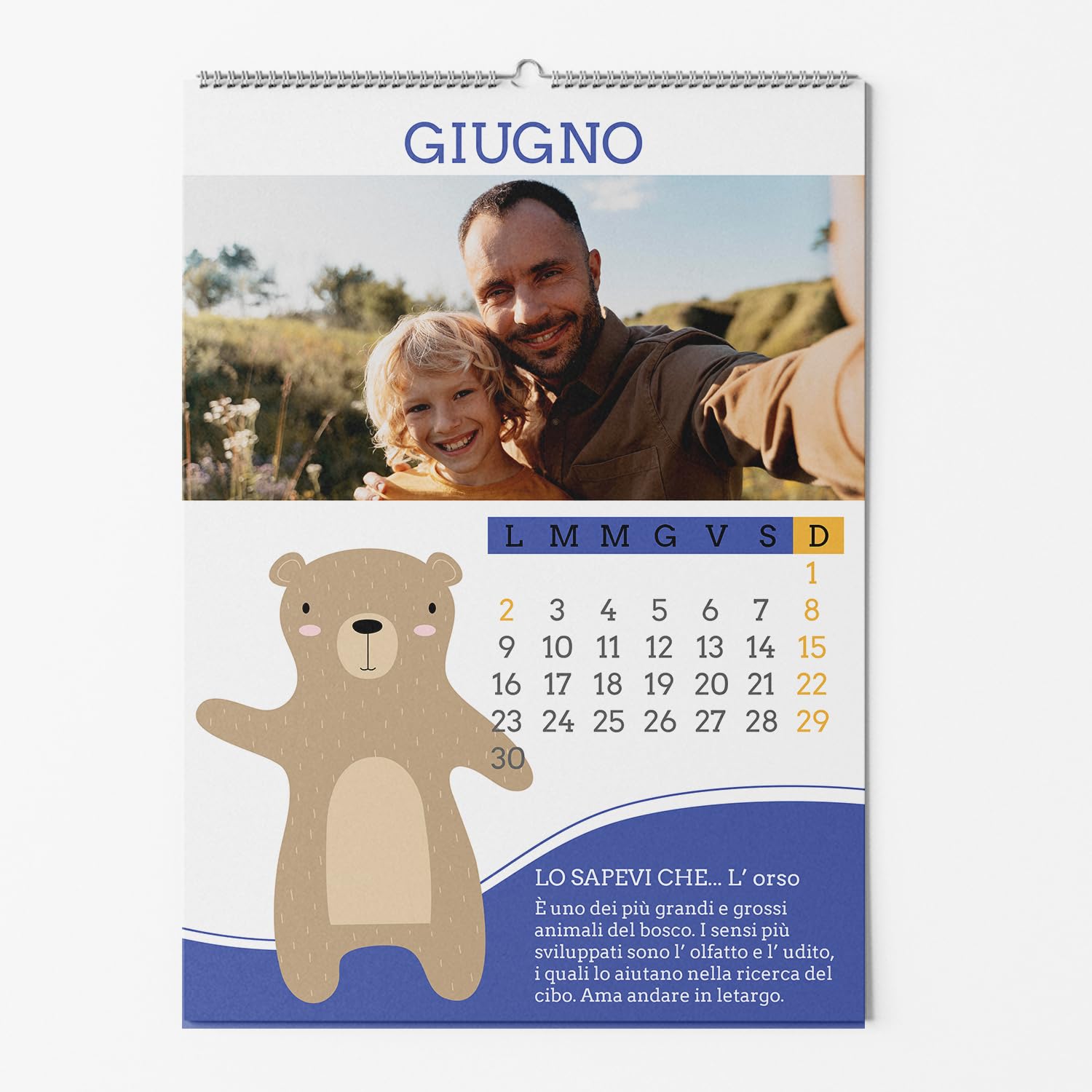 Calendario da muro 2027 con foto e immagini