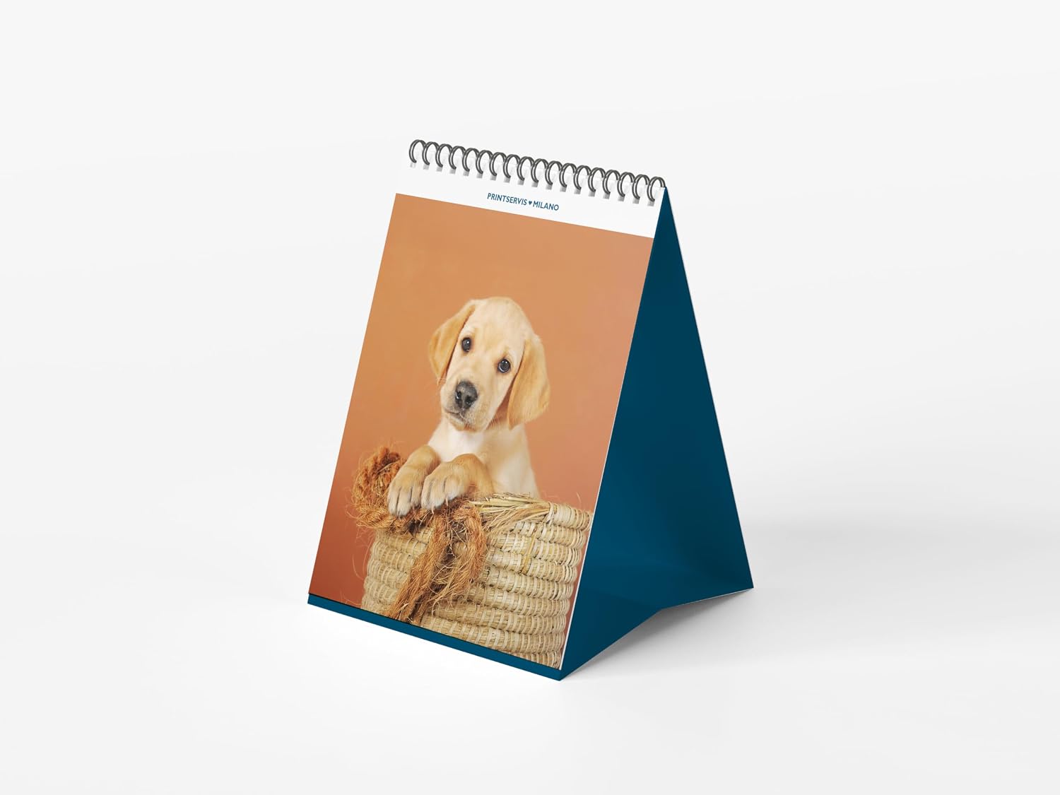 Calendario da tavolo 2027 a spirale 12x15, temi animali
