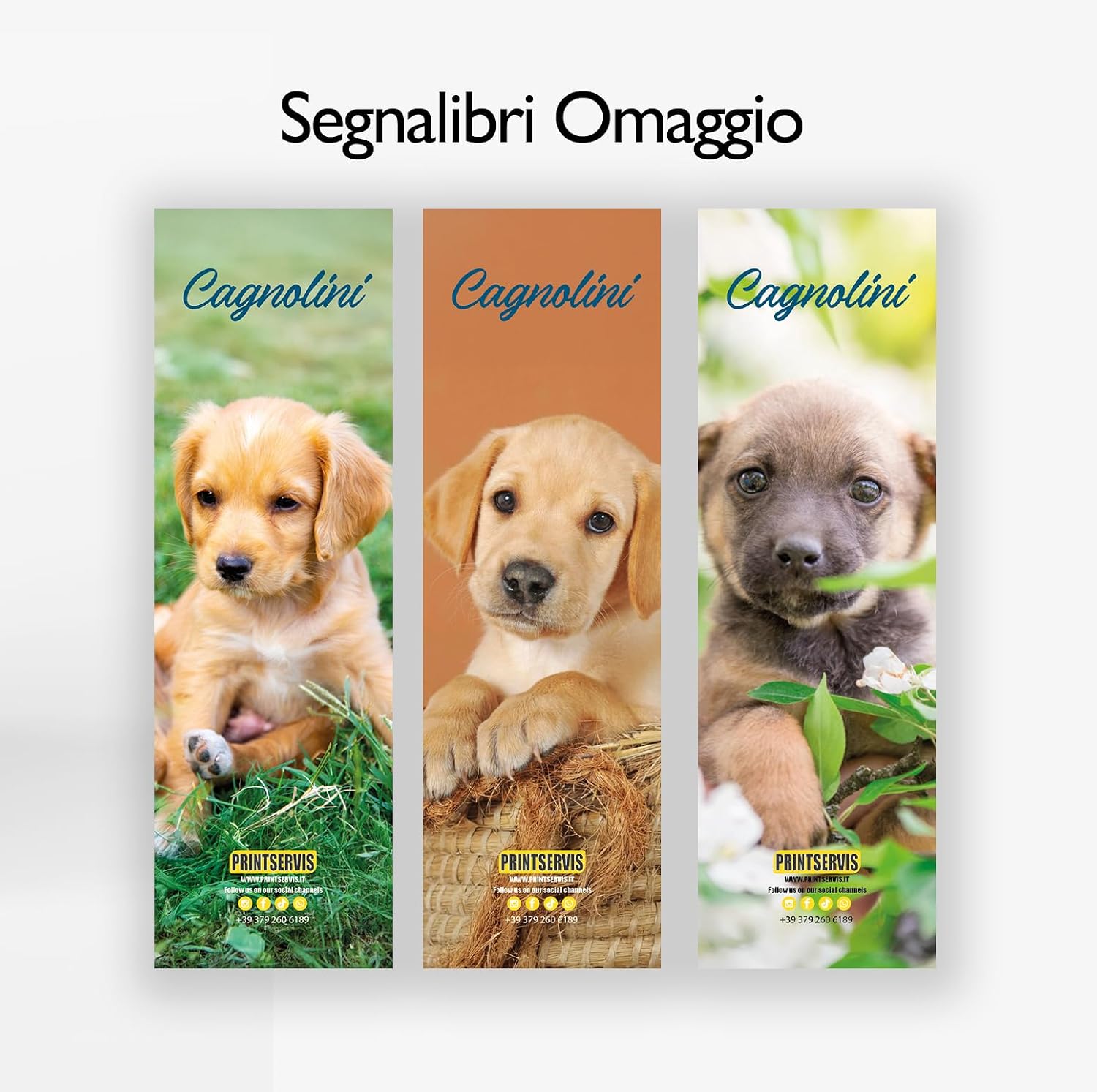 Calendario da tavolo 2027 a spirale 12x15, temi animali — 3