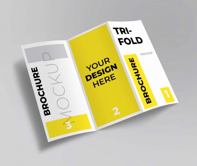 catalog