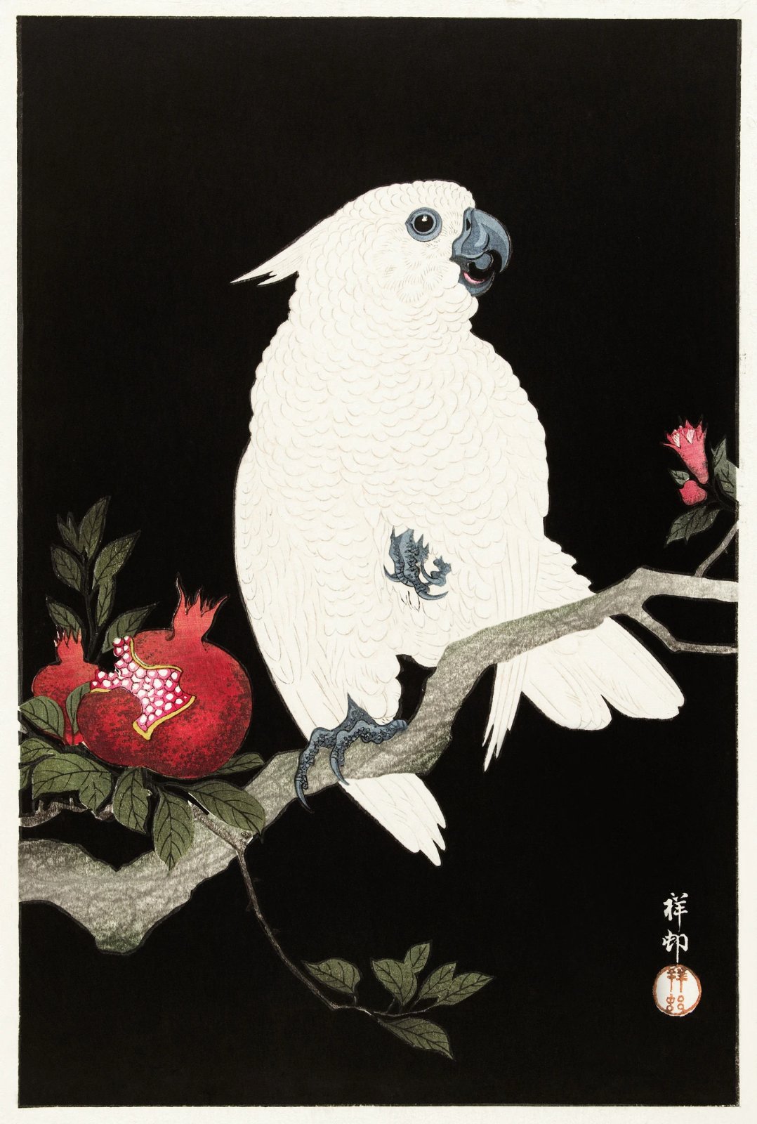 White Cockatoo Poster | Japanese Bird & Pomegranate Artwork | Premium Gallery-Wrapped Poster — Poster