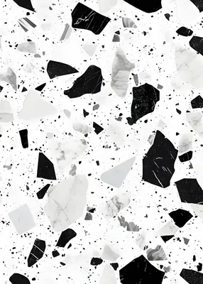 Modern Black and White Terrazzo Poster