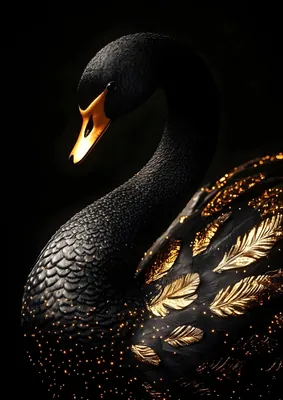 Luxury Black Swan Gold Accent Poster – Elegant Dark Aesthetic Poster