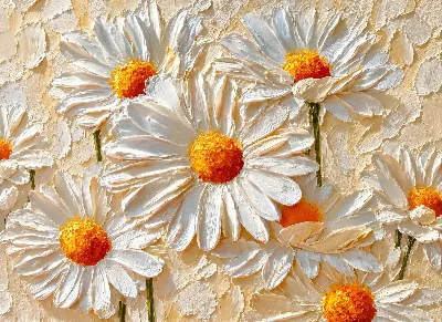 White Daisy Impasto poster for Living Room — Poster