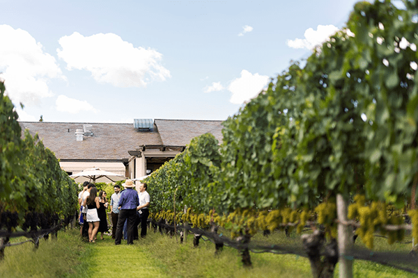 Pro Padel League and Wölffer Estate Vineyard Forge Landmark Multiyear Partnership to Bring Padel to the Hamptons in Idyllic Location