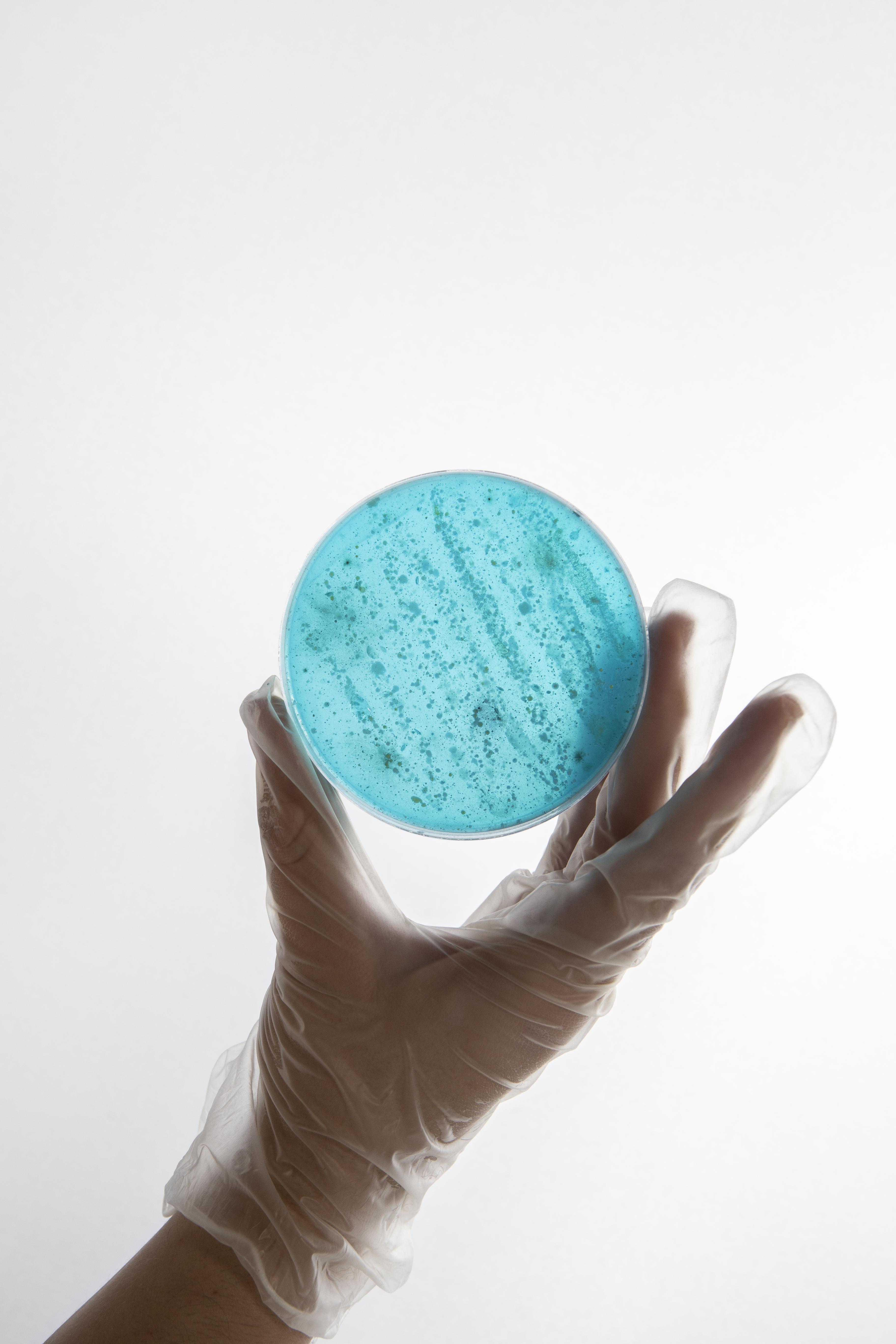 Gallery Masonry Image