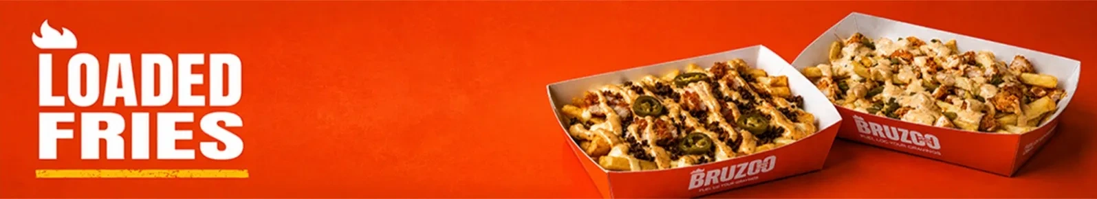 LOADED FRIES