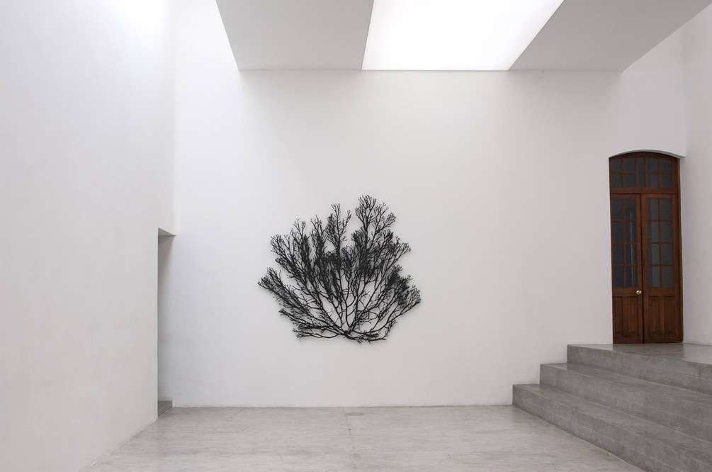 Galería de Arte Mexicano