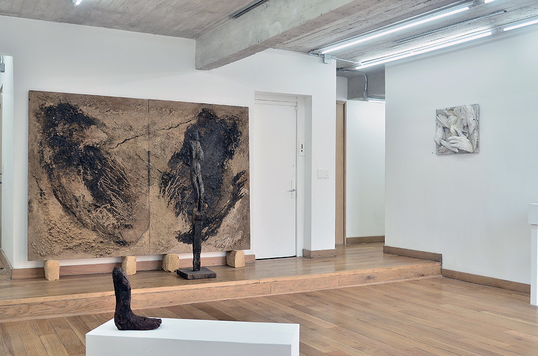 Plomo Gallery