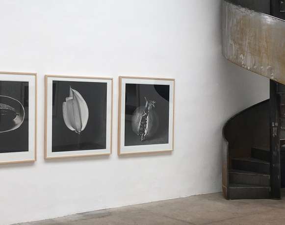 Patricia Conde Galería