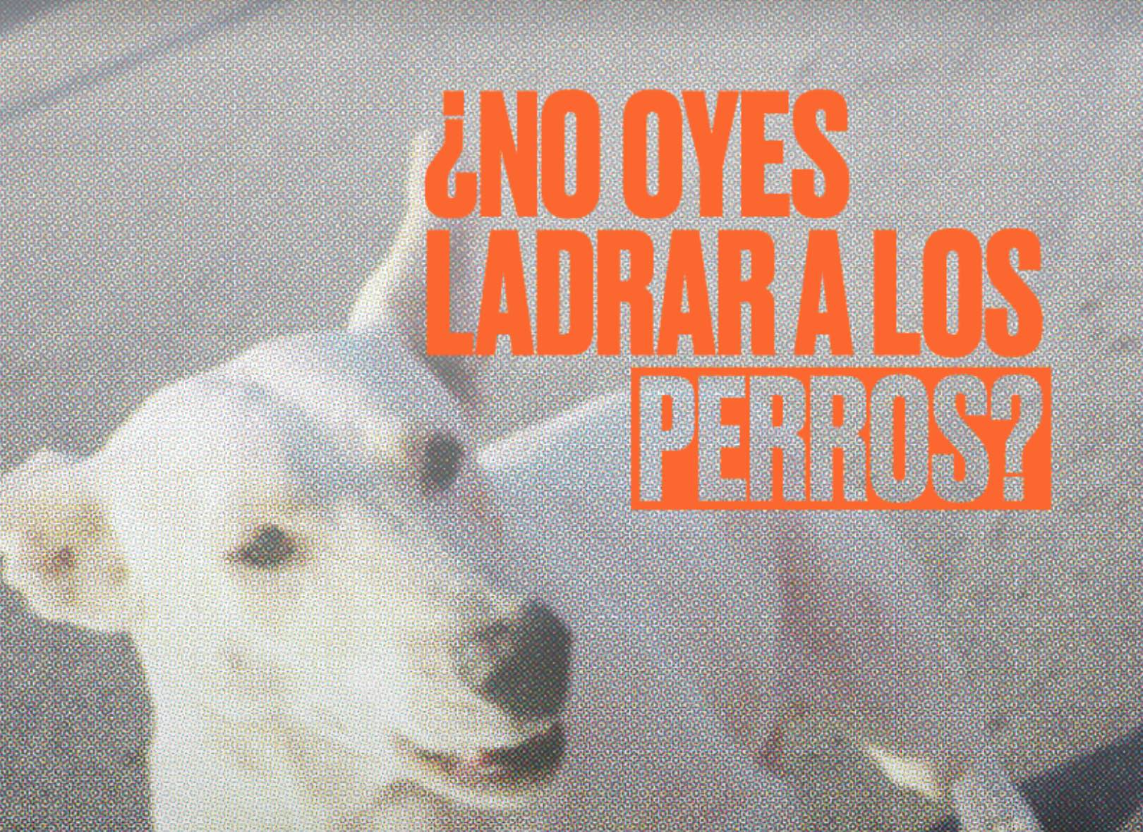 ¿No oyes ladrar a los perros?