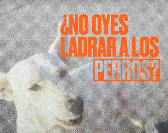 ¿No oyes ladrar a los perros?