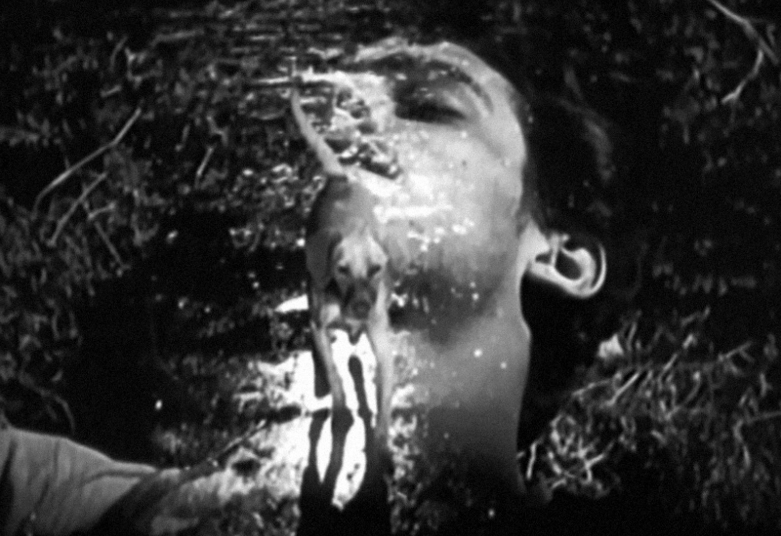 ¿No oyes ladrar a los perros? - Image 3