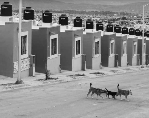 ¿No oyes ladrar a los perros?