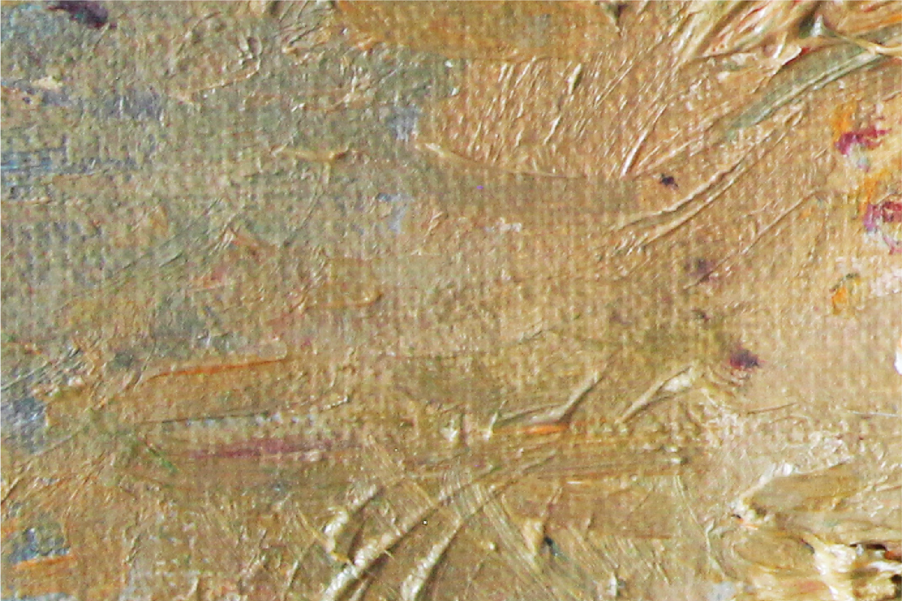 Apolo Cacho