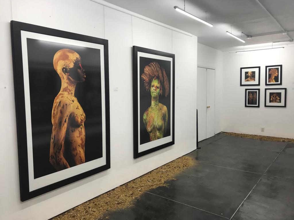 Miguel Milló - Image 3