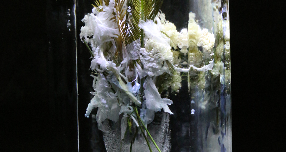 Jorge Rosano Gamboa - Image 3