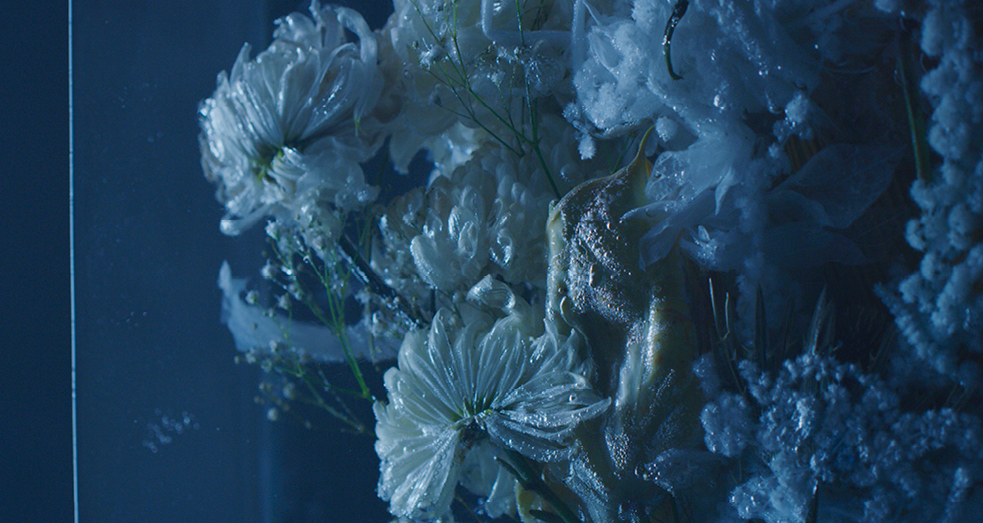 Jorge Rosano Gamboa - Image 4