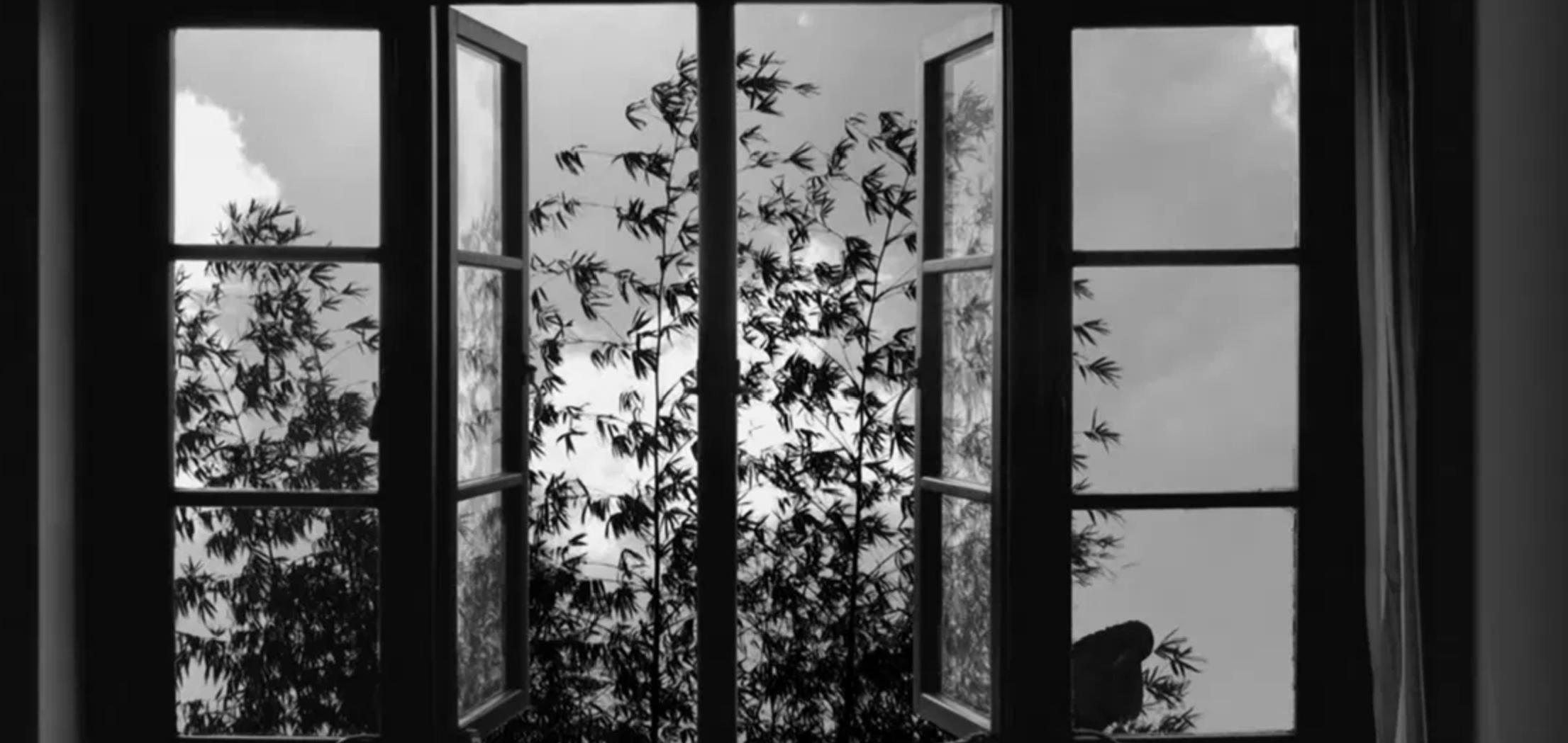 24 Frames, Abbas Kiarostami