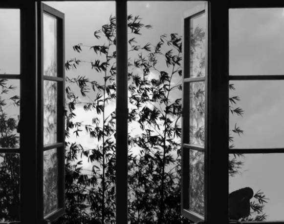 24 Frames, Abbas Kiarostami