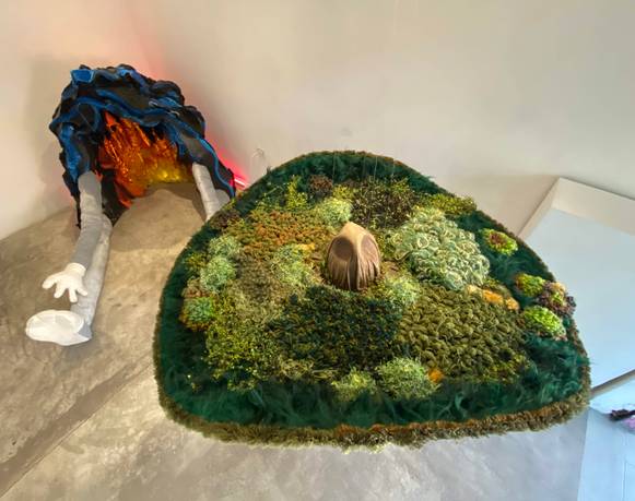 Paloma Contreras Lomas