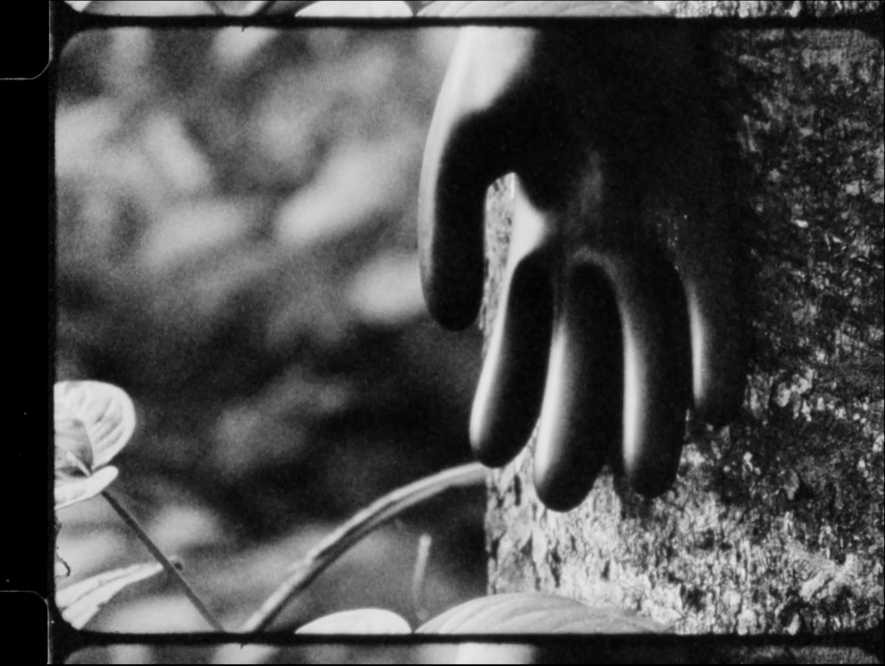 The Skin of Labour de Adrián Balseca