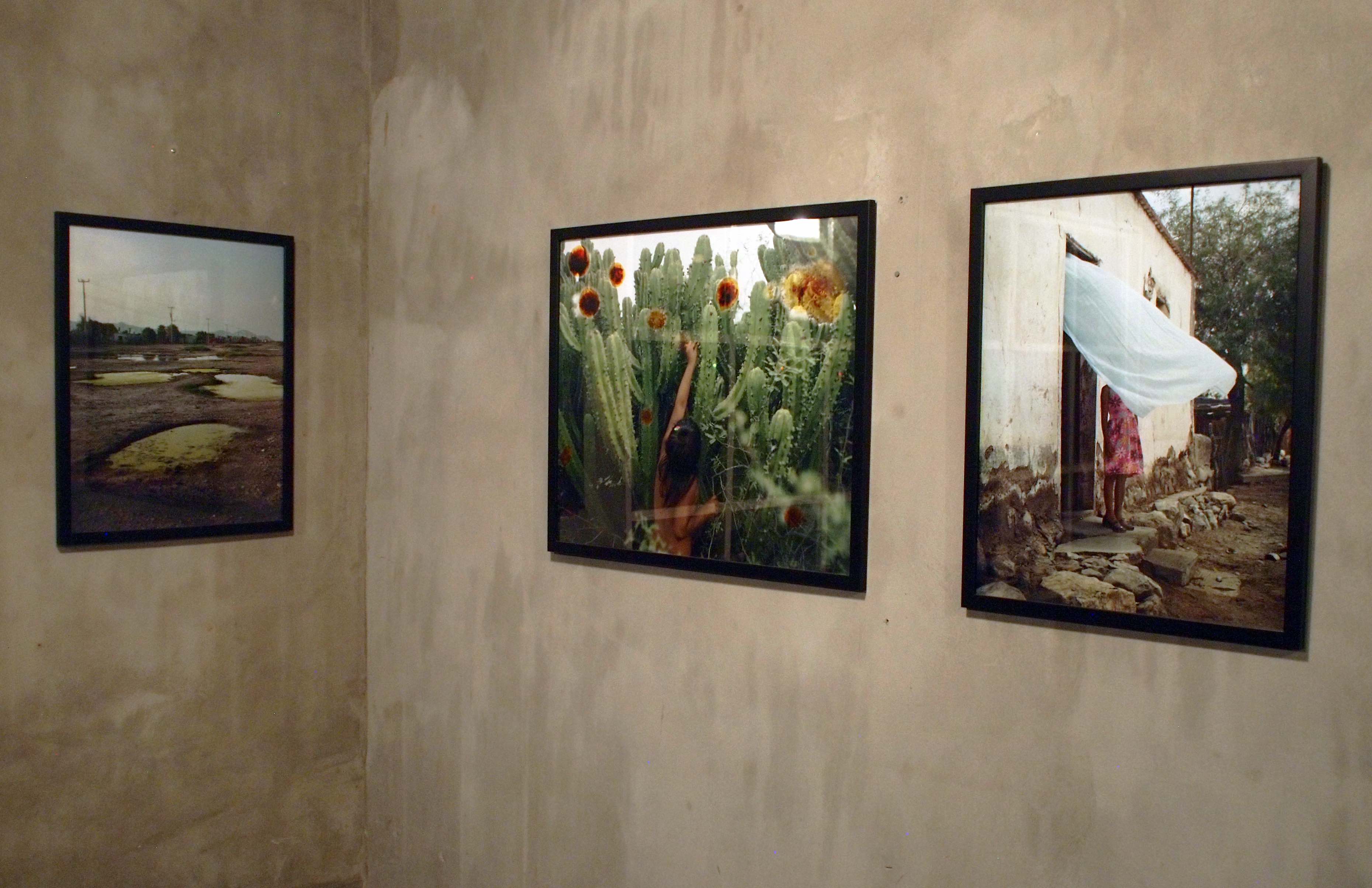 Anne Beentjes, Pájaro piedra, Kino, Ciudad de México, 2020.
Cortesía de Kino
