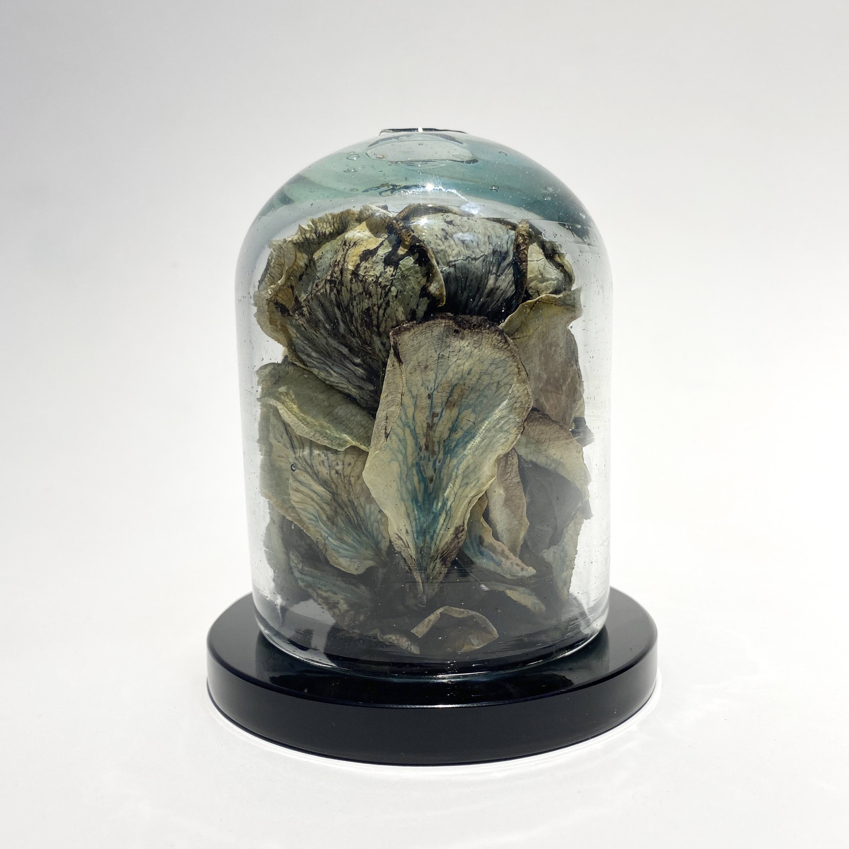 La Subasta de LATANGENTE - Image 3