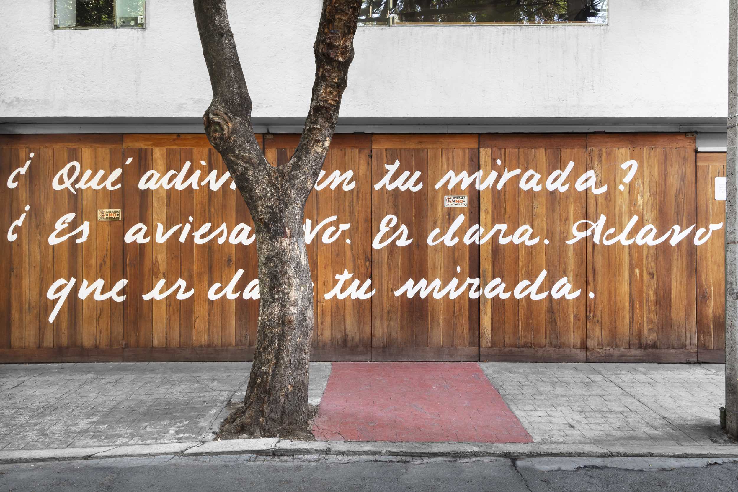 Pablo Soler Frost - Image 2