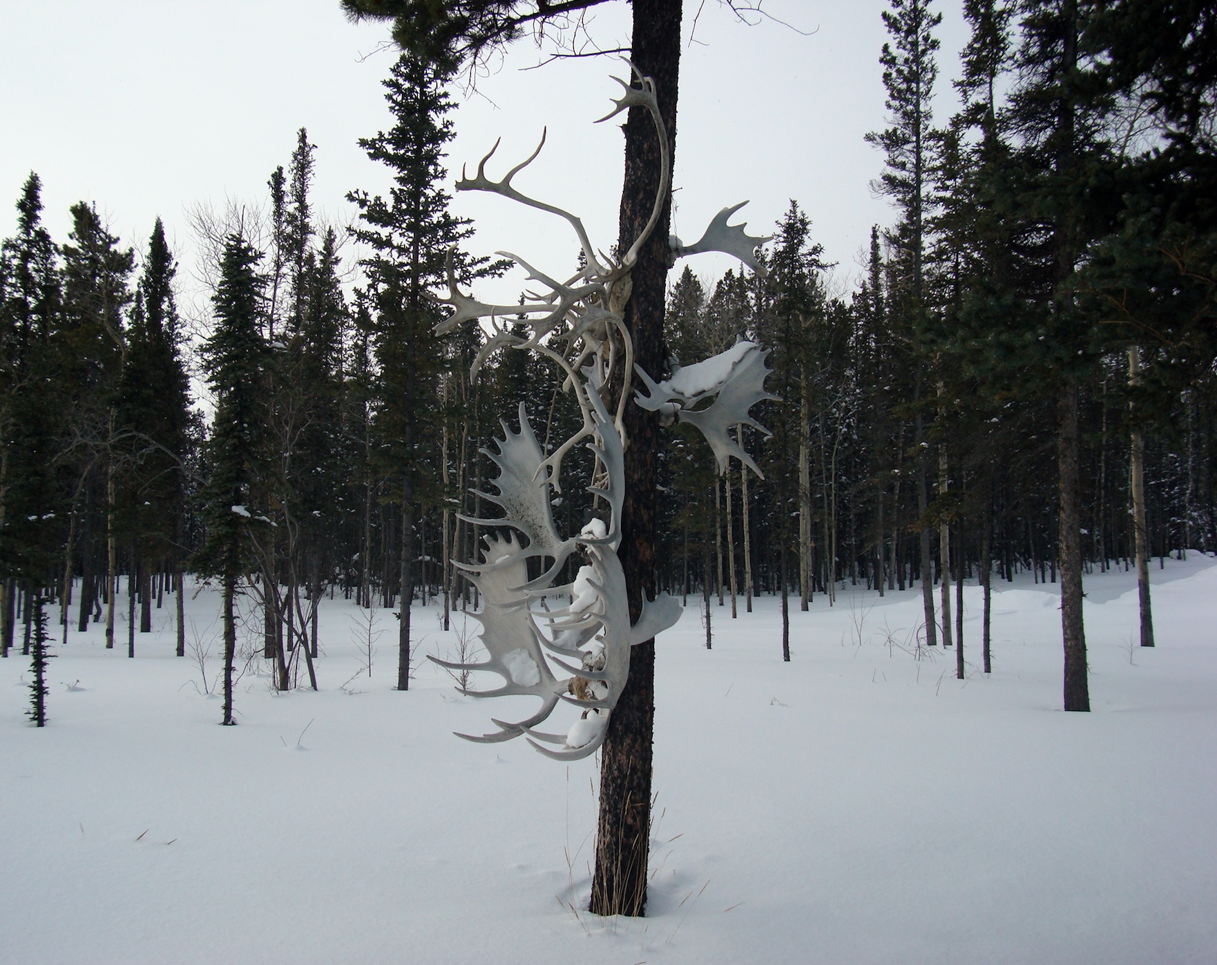 Napoleon Habeica y Fernando Marroquín - Image 3