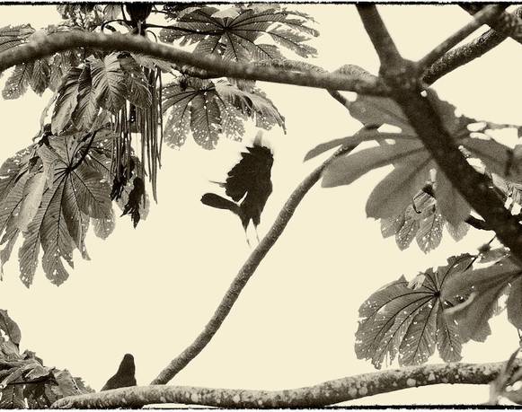 Sesiones en Pausa nº3