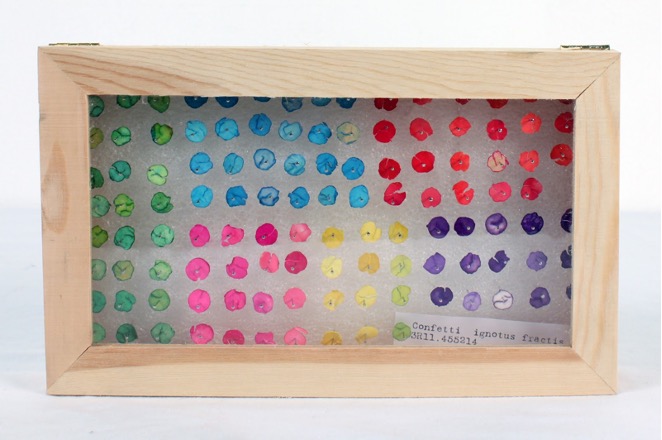 Diversidad en muestras de confettï de territorios centrales del Valle de México, 2011, Serie de seis cajas, Cajas, plástico, confettï y alfileres
