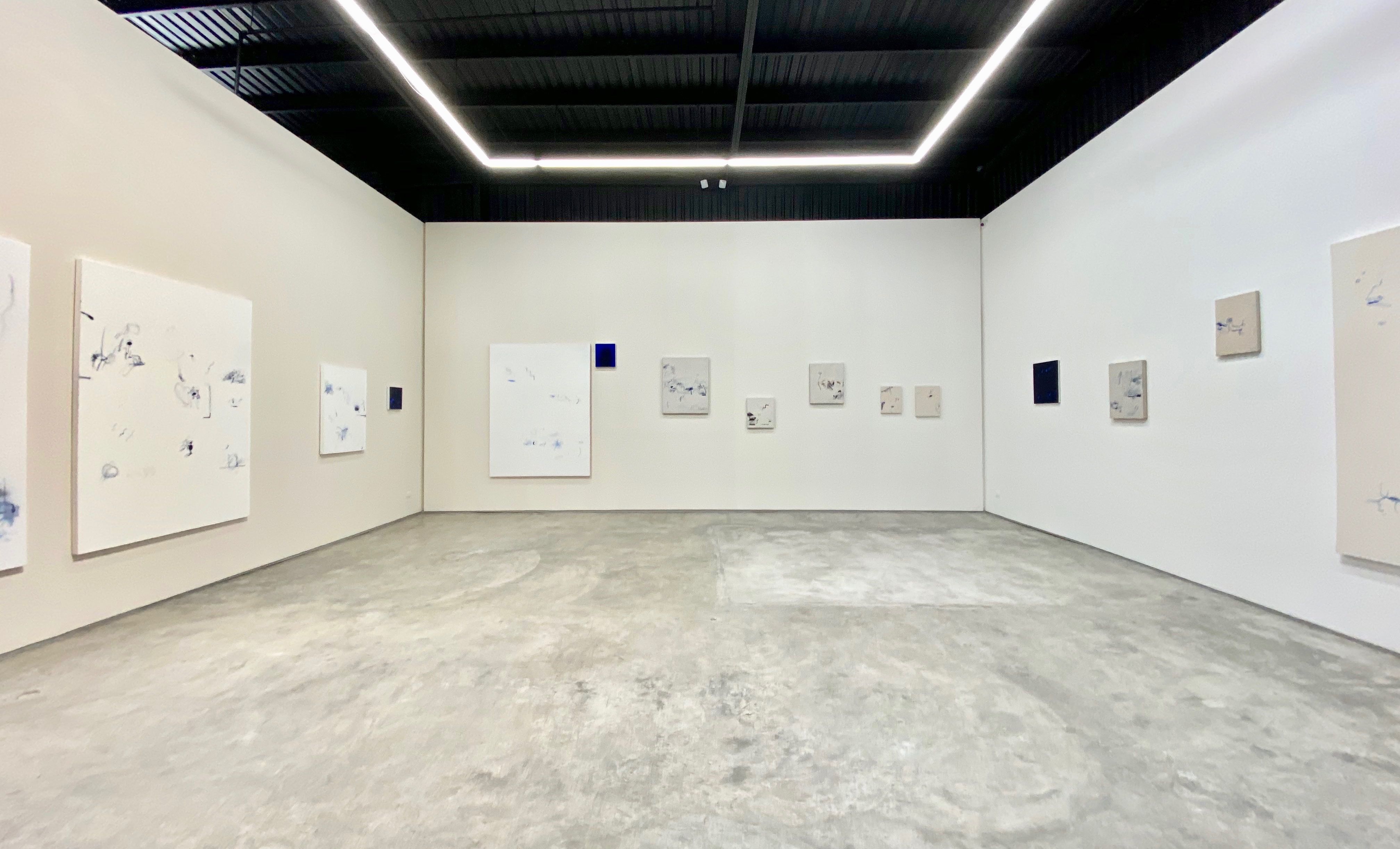 Jerónimo Rüedi, view of the exhibition "In The Begining, The World Was Completly Real", at Colector, San Pedro Garza García, 2020. Photo: Gloria Cárdenas