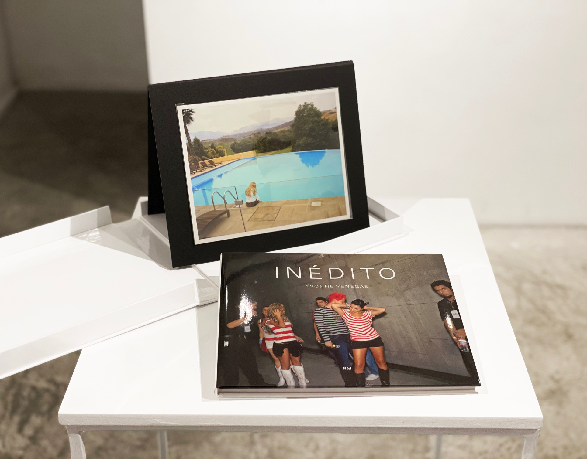 Yvonne Venegas - Image 3