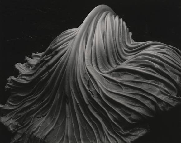 Curso de historia de la fotografía y su mercado