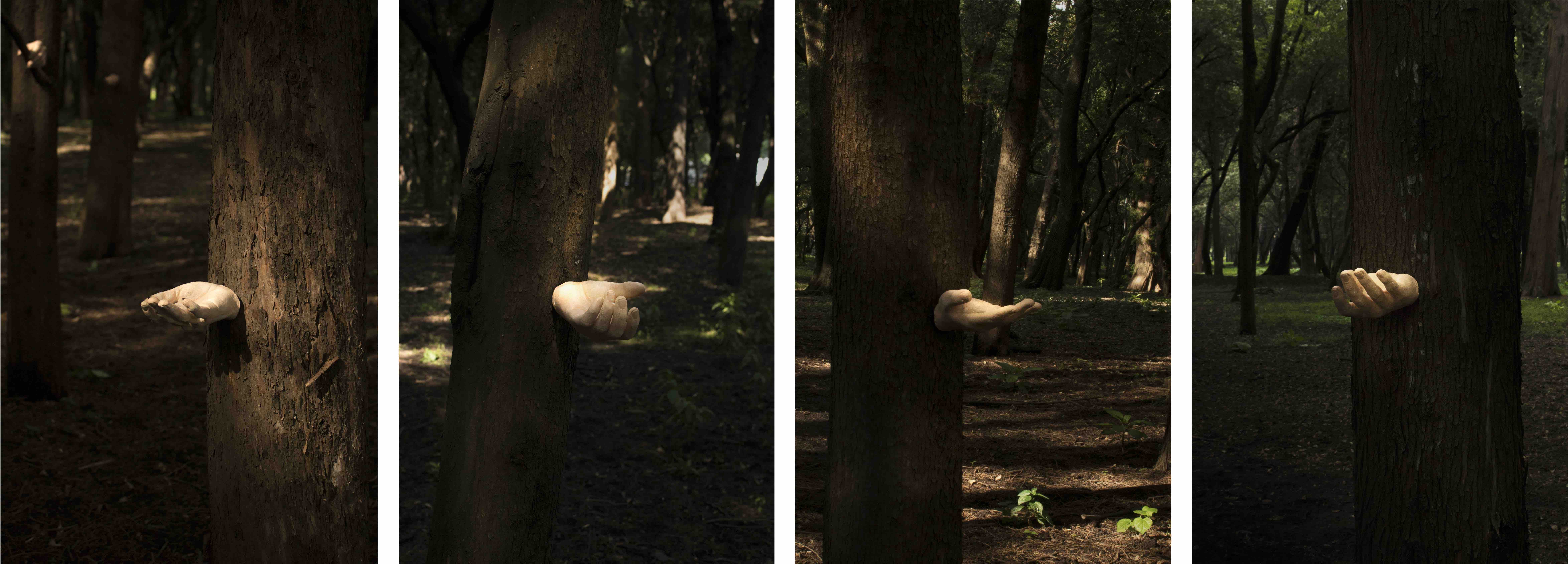 Cuentos de la Gente de Árbol, Santiago Gómez. Courtesy of the artist