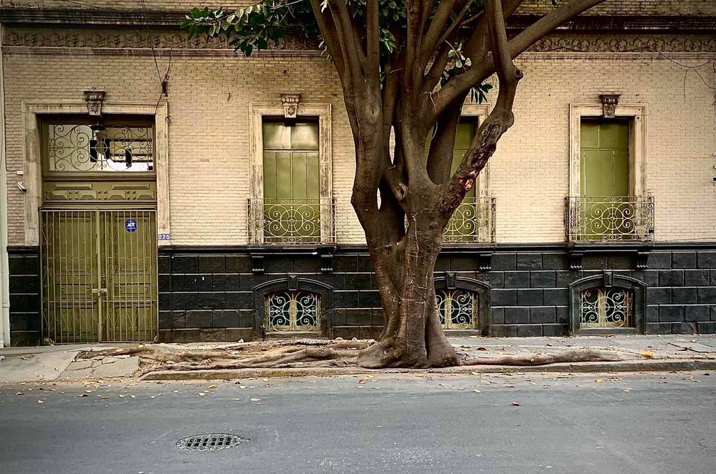 Vernacular Institute